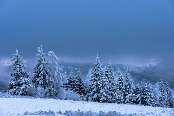 Bela paisagem de inverno com árvores cobertas de neve — Fotografia de Stock