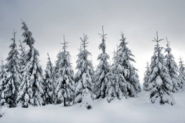 Sihirli kış tatil kavramı