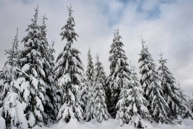 Sihirli kış tatil kavramı