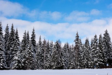 Noel arka plan karlı kış manzara