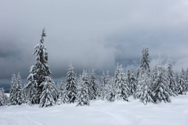 Sihirli kış tatil kavramı