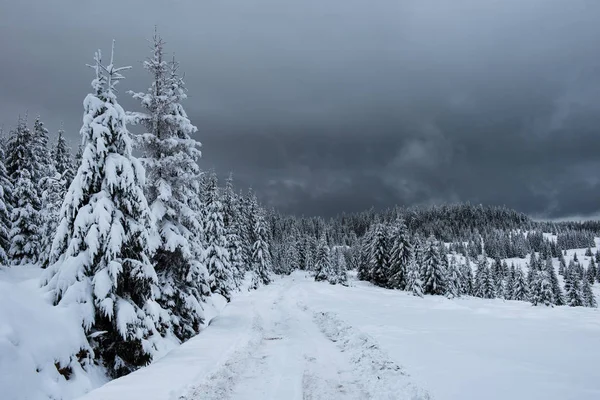 Nieve cubierta de camino de invierno y abetos — Foto de Stock