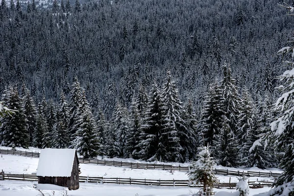 Neve coberta montanha cabana de madeira — Fotografia de Stock