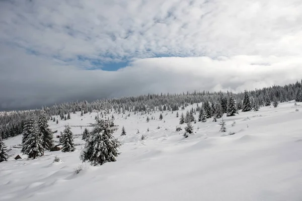 Noël hiver pays des merveilles dans les montagnes avec neige couverte t — Photo