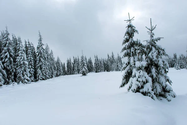 Kerst winter wonderland in de bergen met sneeuw bedekt t — Stockfoto