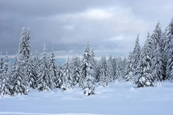 Weihnachten Winter Wonderland in den Bergen mit schneebedeckten t — Stockfoto