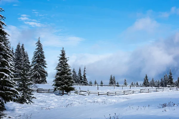 Vánoční zimní wonderland v horách se sněhem zahrnuty t — Stock fotografie