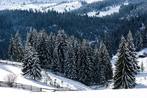 Рождественский фон снежного зимнего пейзажа — стоковое фото