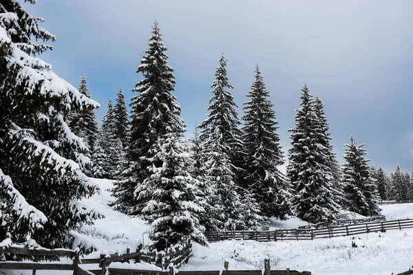 Sfondo natalizio di paesaggio invernale innevato — Foto Stock