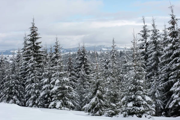 雪に覆われた冬の風景のクリスマス背景 — ストック写真