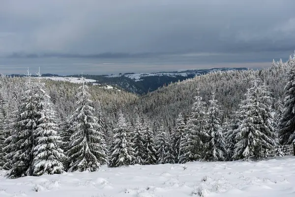 Magisches Winterferienkonzept — Stockfoto