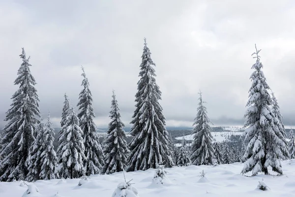 Magisches Winterferienkonzept — Stockfoto