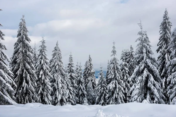 Magisches Winterferienkonzept — Stockfoto