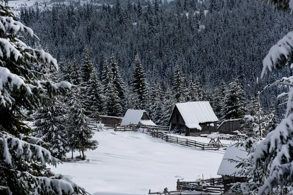 Cabaña de madera cubierta de nieve — Foto de Stock