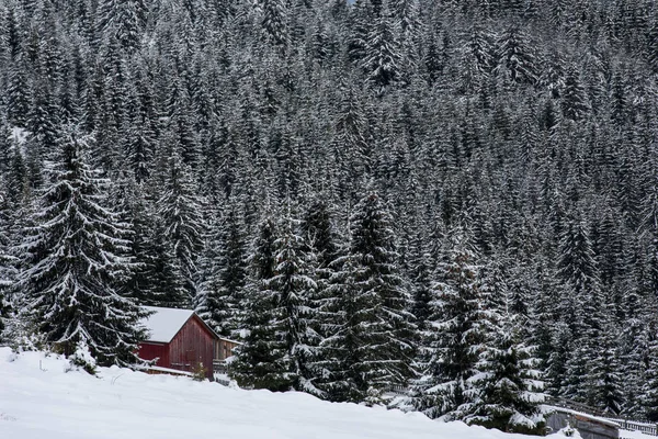 Montaña cubierta de nieve cabaña de madera — Foto de Stock