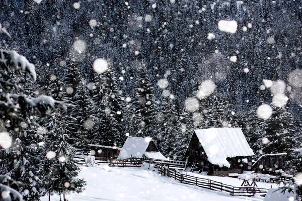 Cabane en bois de montagne couverte de neige — Photo