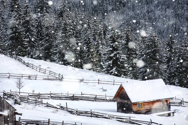 Chalet en bois de montagne enneigé — Photo