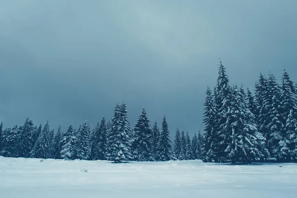 Snowy mountains with trees and fog