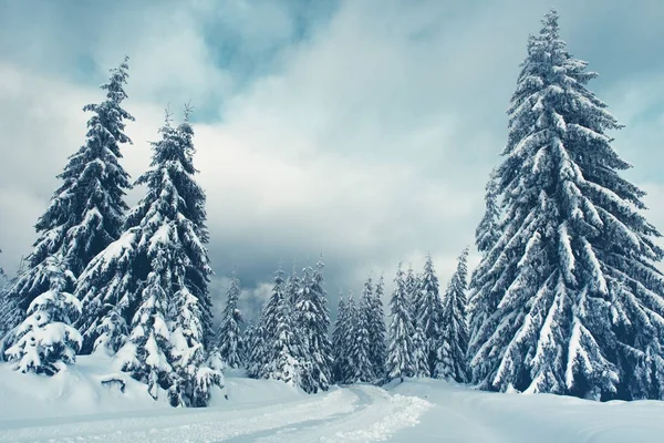 Berg schneebedeckte Landstraße — Stockfoto
