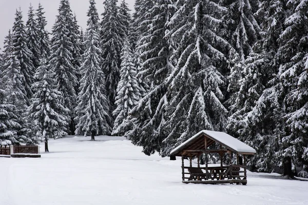 Snow covered wooden table and benches in forest