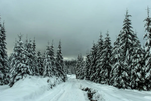Sníh kryté krajina v horách — Stock fotografie