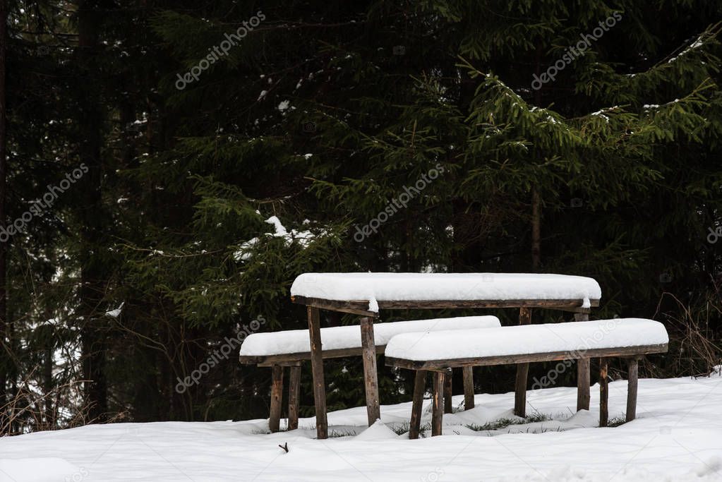 Snow covered wooden table and benches in forest