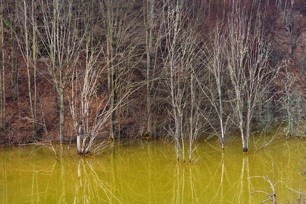 Lago dei rifiuti industriali di Geamana, Rosia Montana, Romania — Foto Stock