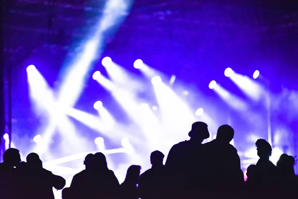 Grupo de amigos disfrutando del festival de música juntos — Foto de Stock