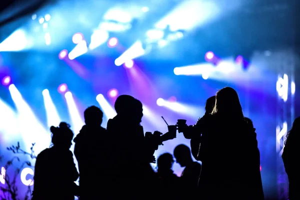 Silhouette di amici che socializzano a un festival — Foto Stock