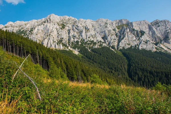 Montañas de piedra caliza. Cárpatos del Sur, Rumania —  Fotos de Stock