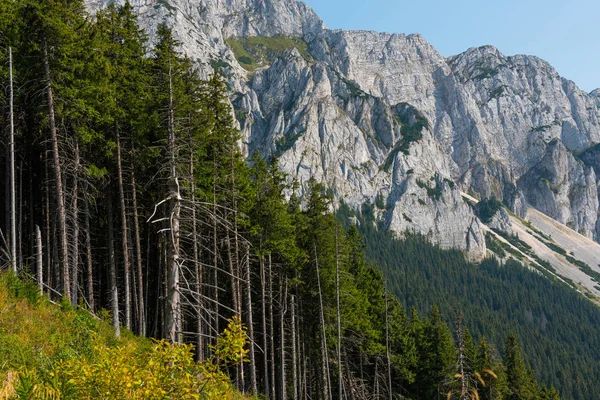 Βουνά ασβεστόλιθο. Νότια Καρπάθια, Ρουμανία — Φωτογραφία Αρχείου