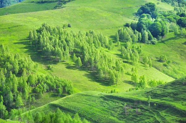 Pitoresk tepeler — Stok fotoğraf