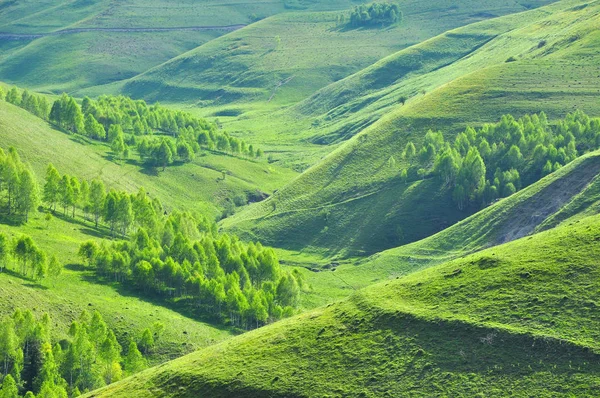 Festői dombok — Stock Fotó