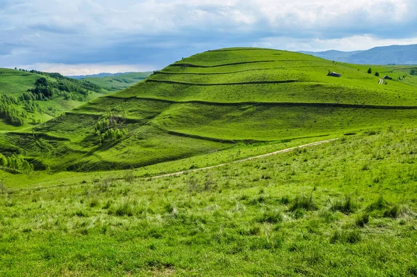 Prado verde, campo na Transilvânia — Fotografia de Stock