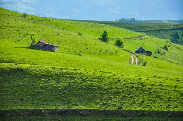 Prado verde, campo na Transilvânia — Fotografia de Stock