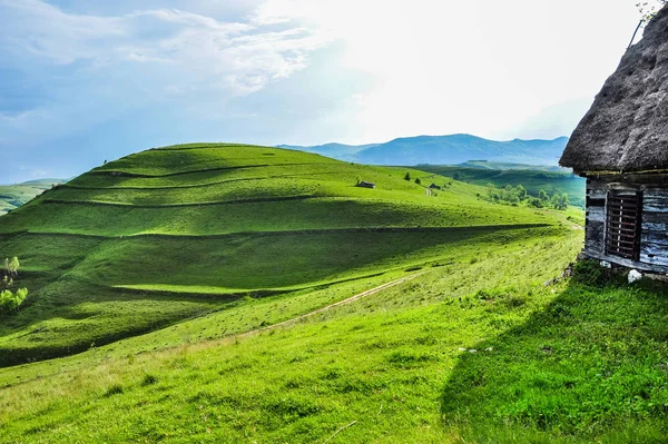 Yeşil çayır, kırsal kesimde Transilvanya — Stok fotoğraf