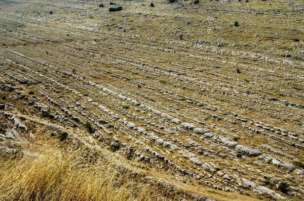 Capas de caliza jurásica. Patrón geológico —  Fotos de Stock