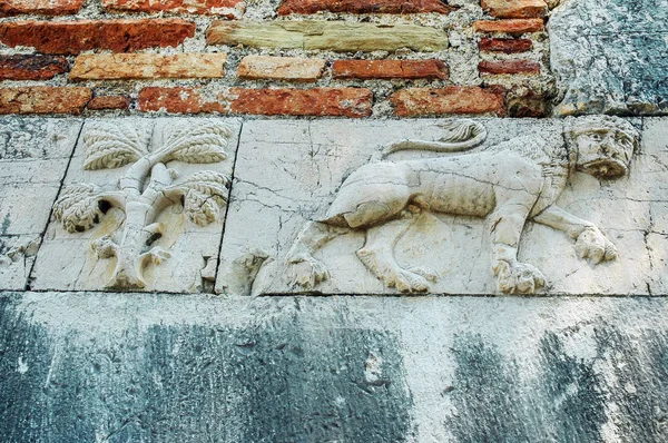Reliéf lva na starobylé zdi — Stock fotografie