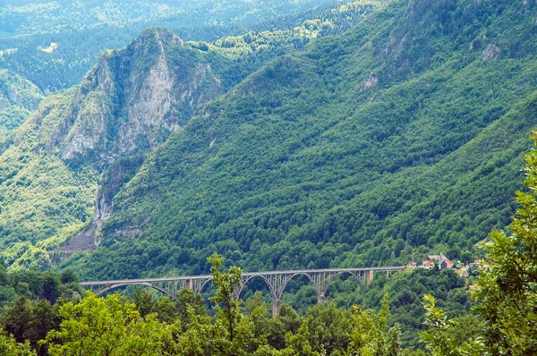 Каньон Тара, Черногория — стоковое фото