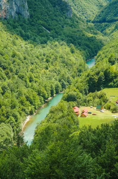 Tara kanyon, Montenegró — Stock Fotó