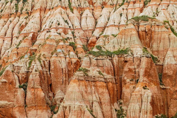 Rode klei met dinosaurus fossielen. Geologische reserve — Stockfoto