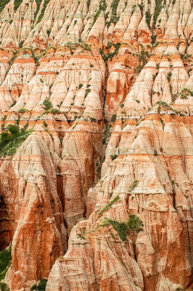 Czerwone gliny z skamieniałości dinozaurów. Rezerwatem geologicznym — Zdjęcie stockowe