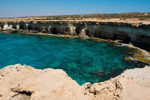 Cavernas do mar perto de Ayia Napa, costa marítima do Mediterrâneo, Chipre — Fotografia de Stock