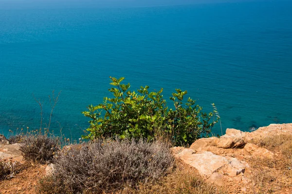 Vista al mar y a la costa desde una altura rocosa — Foto de Stock