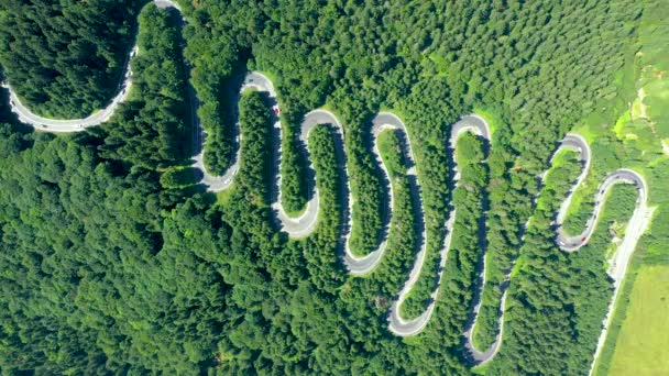 Flyger Över Slingrande Serpentinasfalterad Väg Med Passerande Bilar Grön Skog — Stockvideo