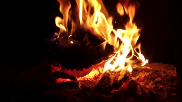 Αργή Κίνηση Φωτιάς Φλόγες Που Καίγονται Μια Σόμπα — Αρχείο Βίντεο