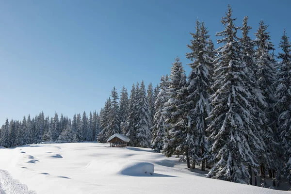 Paisaje alpino con montañas cubiertas de nieve y bosque de pinos — Foto de Stock