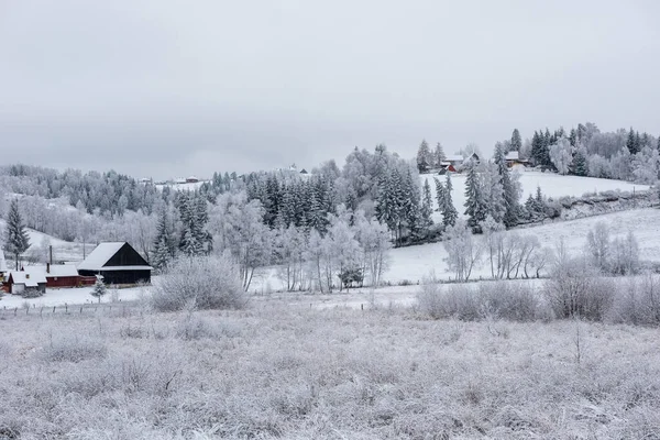 Alpská vesnice v zimě v Transylvánii — Stock fotografie