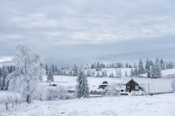 Vinterskogsland med chalet — Stockfoto