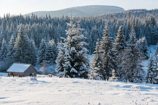Dağ evi olan kış ormanı. — Stok fotoğraf